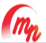 chennai/mn-logistics-services-george-town-chennai-13242760 logo