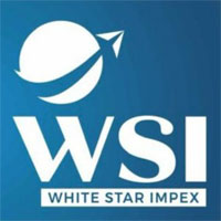 rajkot/white-star-impex-navagam-rajkot-13245848 logo