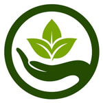 dimapur/nsamnei-organic-13436142 logo