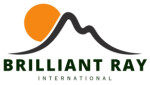 amreli/brilliant-ray-international-13712502 logo