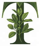 bilaspur/tulsi-organic-lingiyadih-bilaspur-13776151 logo