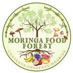 gulbarga/moringa-food-forest-14134528 logo