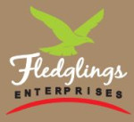 Fledgling Enterprises