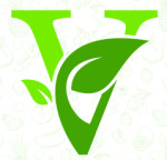 VIGNYA VIHARI PRIVATE LIMITED