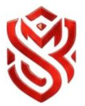 Sriman Zenith LLP Sriman Zenith LLP