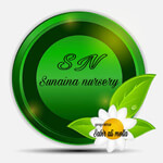 Sunaina Nursery