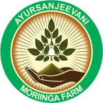 AyurSanjeevani Moringa Farm