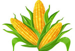 nandurbar/pancholi-agro-industries-navapur-nandurbar-14552186 logo