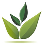 Vervy Agro Products