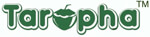 Saachal Marketing & Exporters