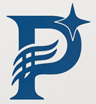 Blue Terry Towel 100% Cotton 30 X 60 Inch