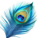 Srivarshan Stitching Center