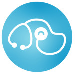 Dog Training Services