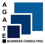 Software Development Service