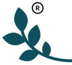 Wild Turmeric Face Pack Powder - 100% Organic