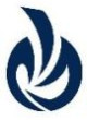Innovate Export