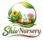 Shiv Nursery