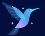 Dream Rise Business Solutions