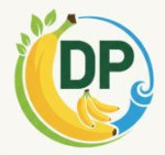 DP Impex
