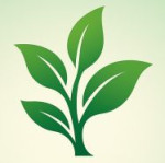 Hanu Herbal Dehydration and Supply