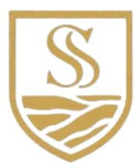 Shourya Stonex