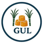 Organic Jaggery Cubes