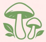 Terrashroom Pvt. Ltd.