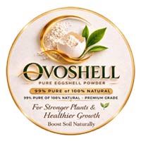 Ovo Shells