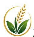 Ajay Psyllium Industries