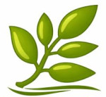 MKG Bloom Private Limited