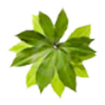 chennai/nethra-organic-farm-pammal-chennai-2137081 logo