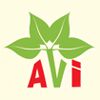 pali/a-v-international-309729 logo