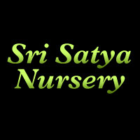 rajahmundry/sri-satya-nursery-bommuru-rajahmundry-3202452 logo