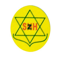 virar/green-shine-udyog-virar-east-virar-3471440 logo