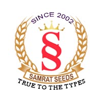 rajgarh/samrat-seeds-4092000 logo