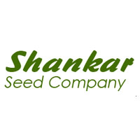 faizabad/shankar-seed-company-niyawan-road-faizabad-4514286 logo