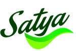 hisar/satya-intl-private-limited-sector-27-28-hisar-4828799 logo