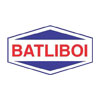 mumbai/batliboi-impex-ltd-ballard-estate-mumbai-52472 logo