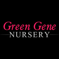 ratnagiri/green-gene-nursery-dapoli-ratnagiri-544180 logo