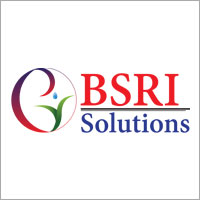 chennai/bsri-solutions-pvt-ltd-guindy-chennai-5596942 logo