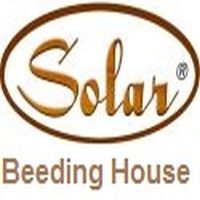 vijayawada/solar-beeding-house-governor-peta-vijayawada-5665691 logo