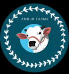 ambur/maruthi-traders-5806751 logo
