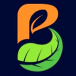 bhiwani/balaji-products-5816724 logo