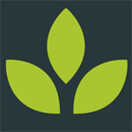 hojai/ms-ayesha-nursery-lanka-hojai-6369203 logo