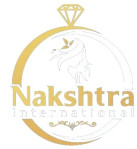 pune/nakshtra-international-sinhagad-road-pune-6753590 logo