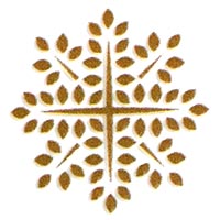 jodhpur/the-paper-company-kamla-nehru-nagar-jodhpur-6787891 logo