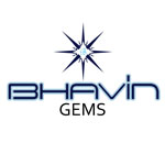 surat/bhavin-gems-varachha-surat-8764740 logo