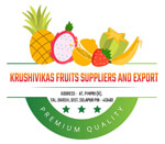 solapur/krushivikas-fruits-suppliers-and-export-barshi-solapur-8986721 logo