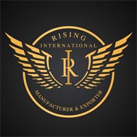 sambhal/rising-international-9089532 logo