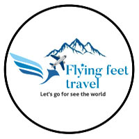 kangra/flying-feet-travel-bilaspur-gurgaon-9213257 logo